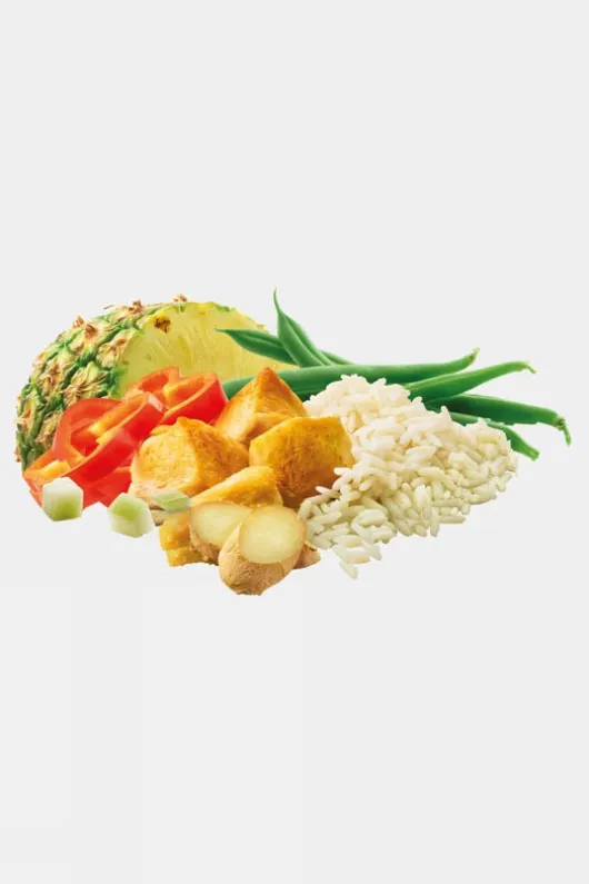Adventure Food Chicken Curry Dry Food