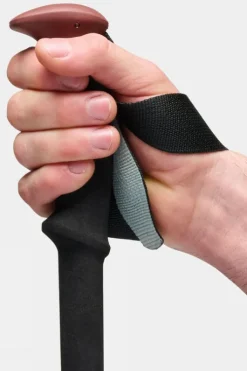 Black Diamond Trail Trekking Poles (Pair)