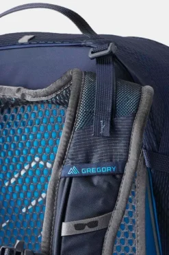 Gregory Citro 24 Daypack