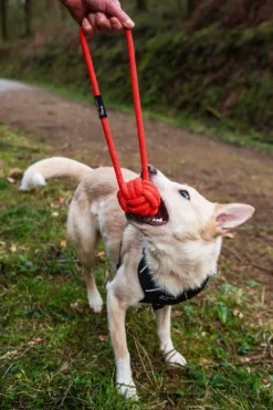 Mountain Paws Ball Chew Rope Dog Toy