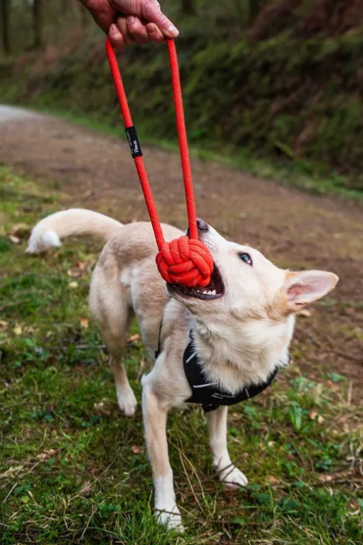 Mountain Paws Ball Chew Rope Dog Toy