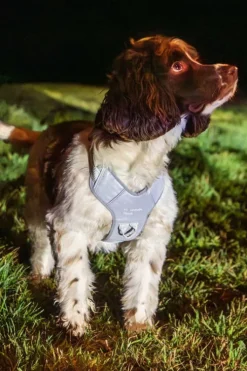Mountain Paws Dog Harness - Extra Large