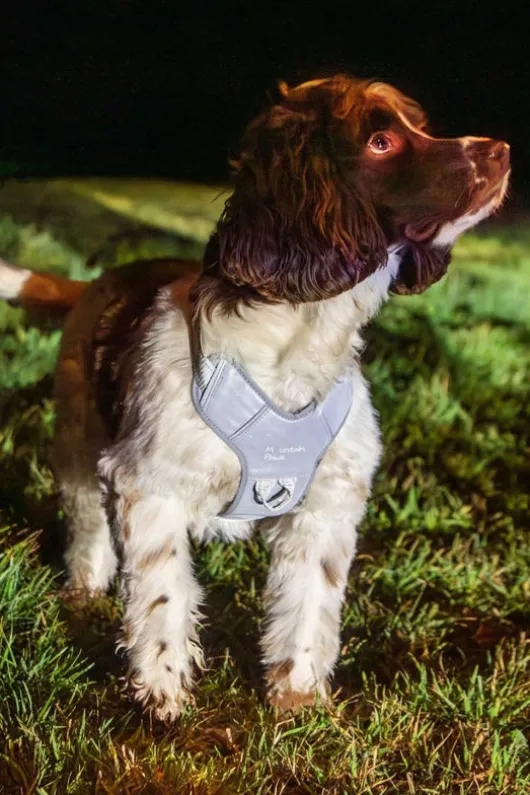 Mountain Paws Dog Harness - Large