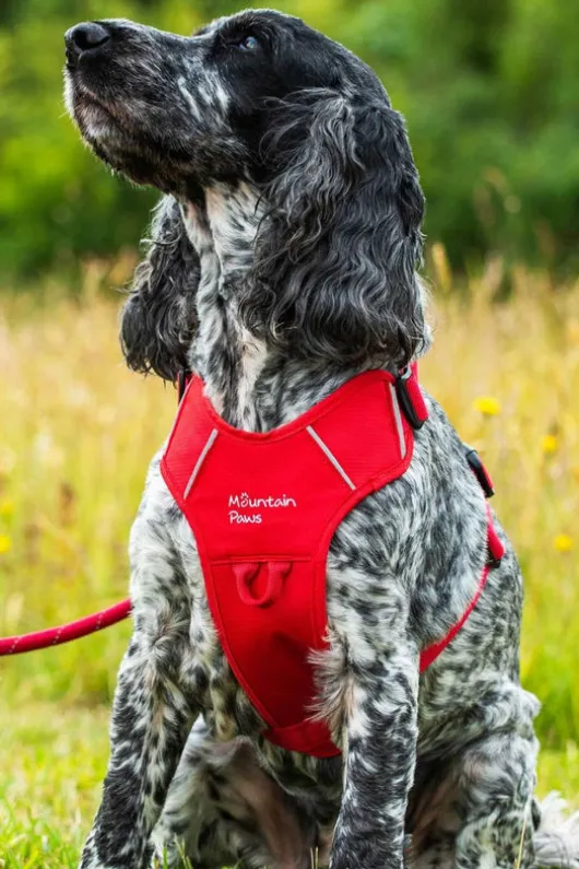 Mountain Paws Dog Harness - Large