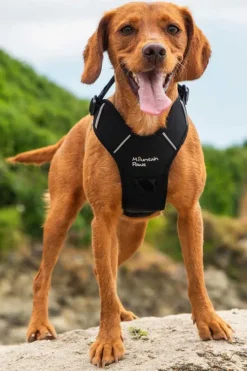 Mountain Paws Dog Harness - Small