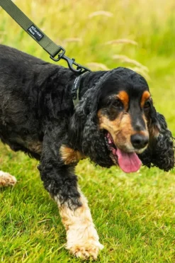 Mountain Paws Extra Tough Dog Lead