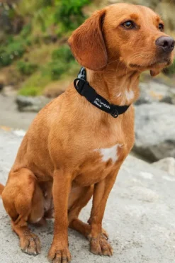 Mountain Paws Extra Tough Dog Collar - Extra Large