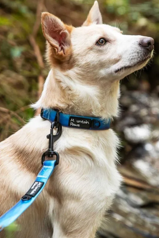 Mountain Paws Waterproof Dog Collar - Small