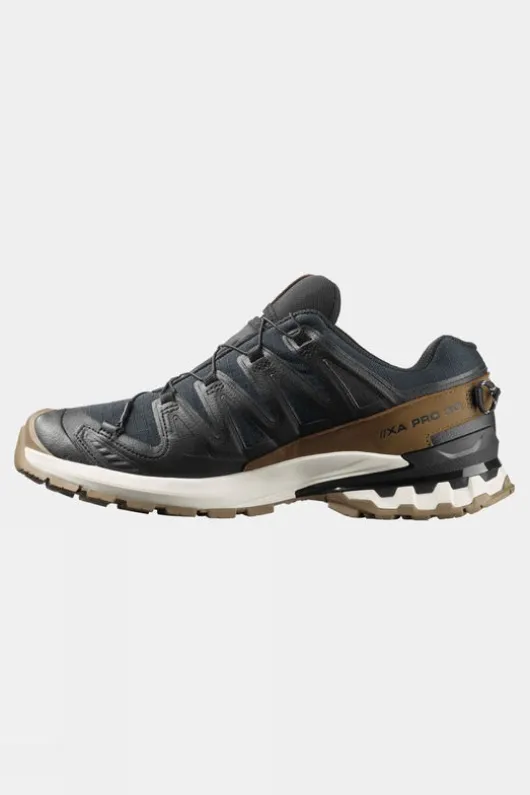 Salomon Mens XA Pro 3D V9 GTX Lifelong Shoes