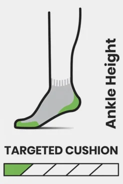 Smartwool Womens Hike Targeted Cushion Ankle Socks