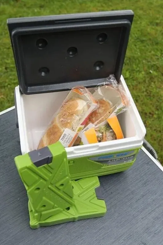 Vango Ice Bricks (2 Pack)